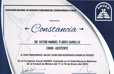 anuer-curso-precongreso-2019_pages-to-jpg-0001.jpg