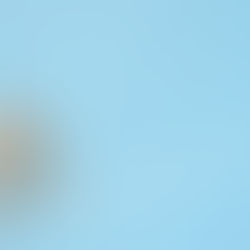 Embracing Change and Adaptability