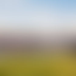 The Human Success Equation with Rasmus Holst