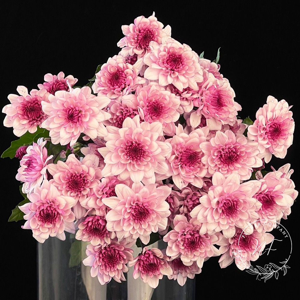 Pompon Nannong Red Heart