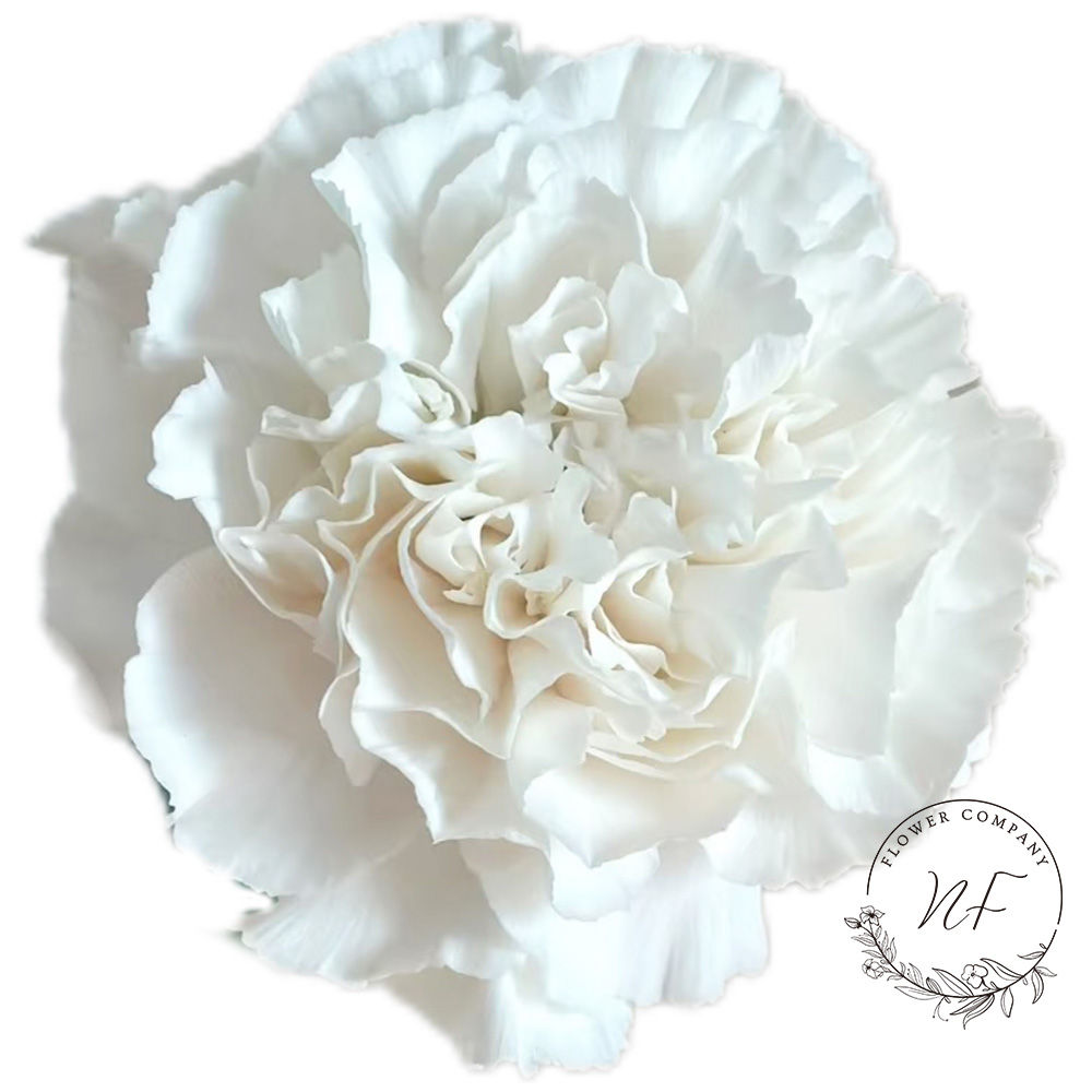 Carnation Pink Crystal