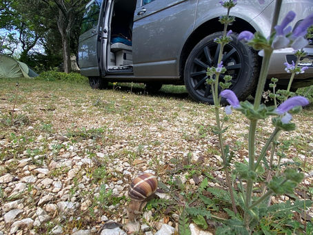 PRINTEMPS 2024 France: Vaucluse