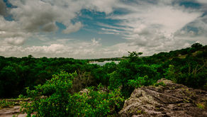 RoadTrip : Inks Lake