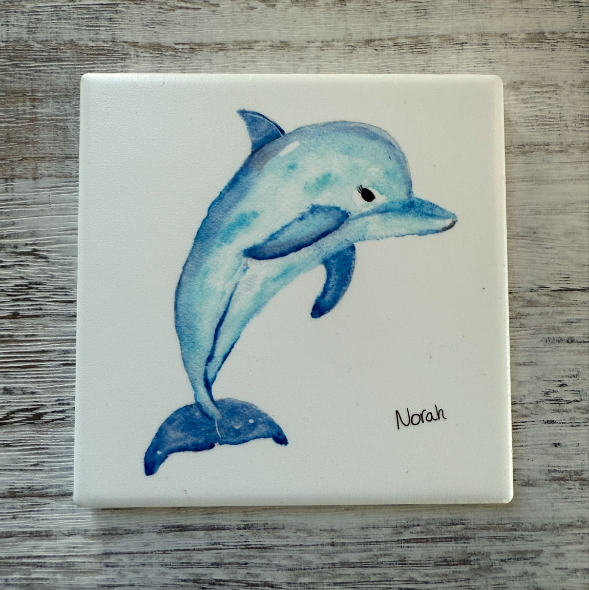 Watercolor dolphin art coaster, 'Leah'