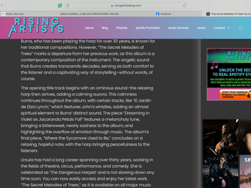 Review Rising Artists LOS ANGELES