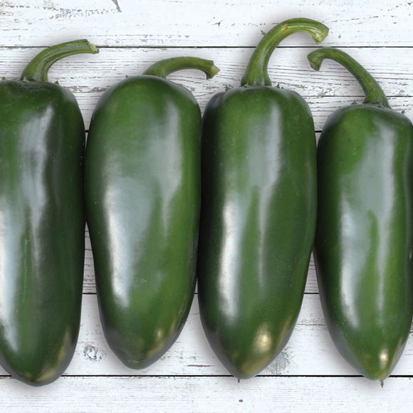 Hot Pepper- Jalapeno