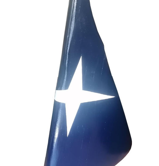 FOC 1.jpg