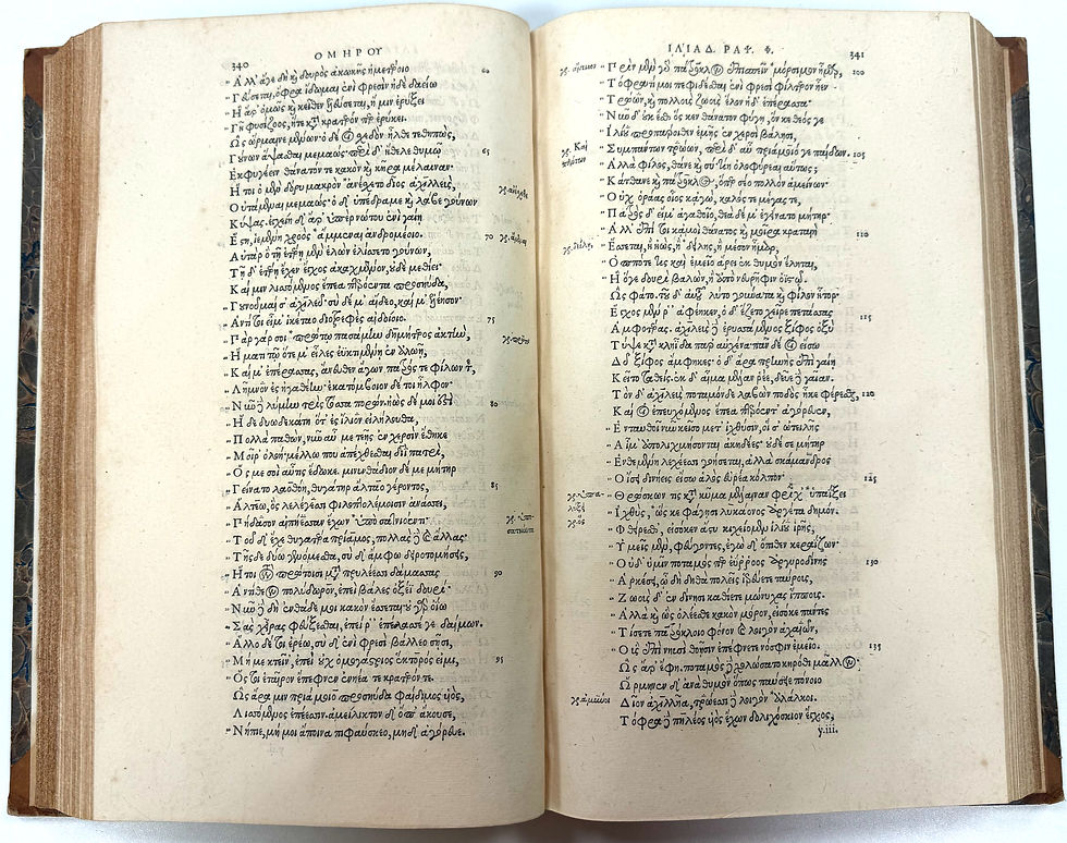 foxing and tanning on pages of a 1566 antique book
