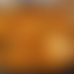 Good Paellas in Madrid, It is possible!