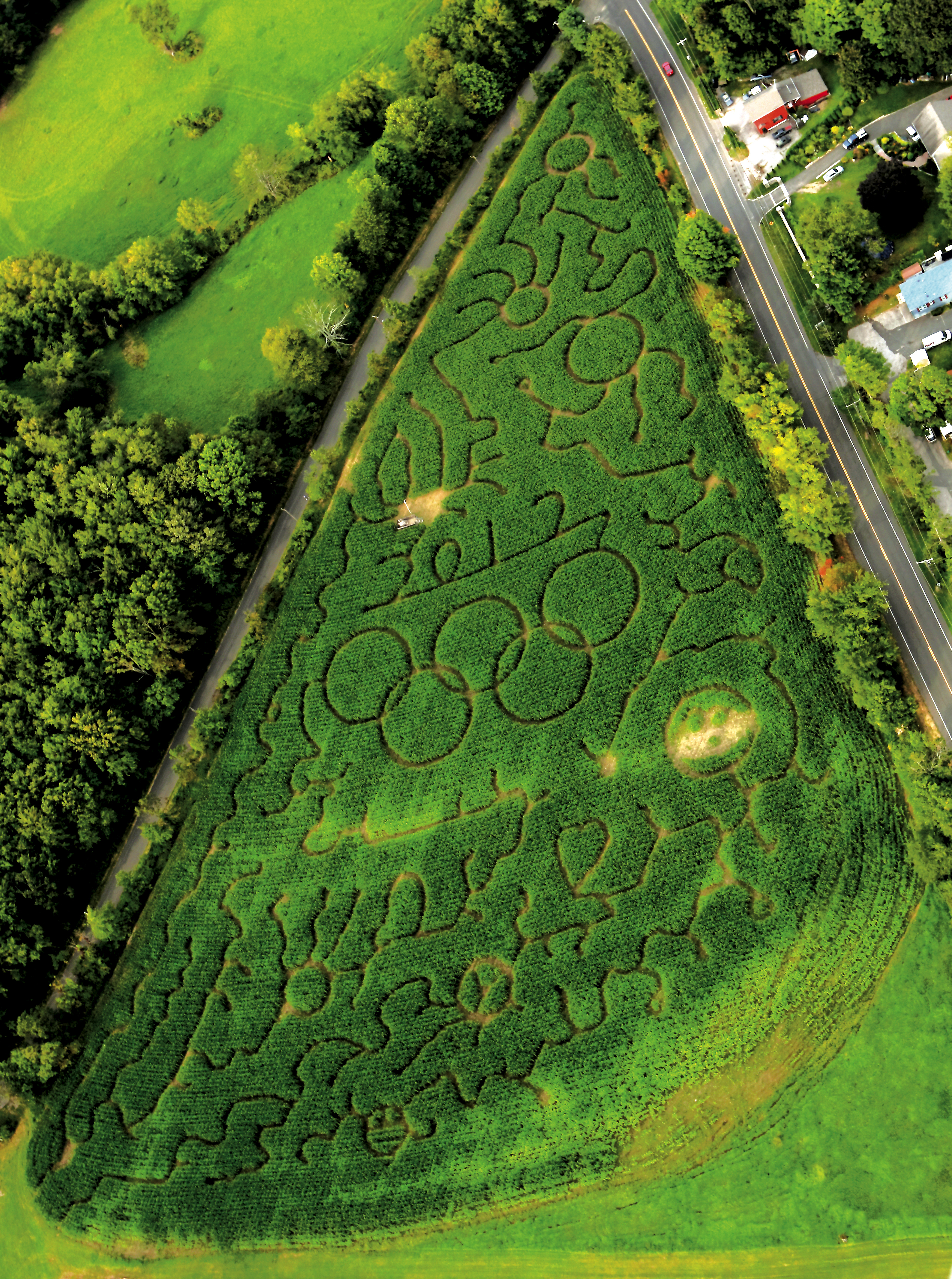 2012 "Olympic" Corn Maze