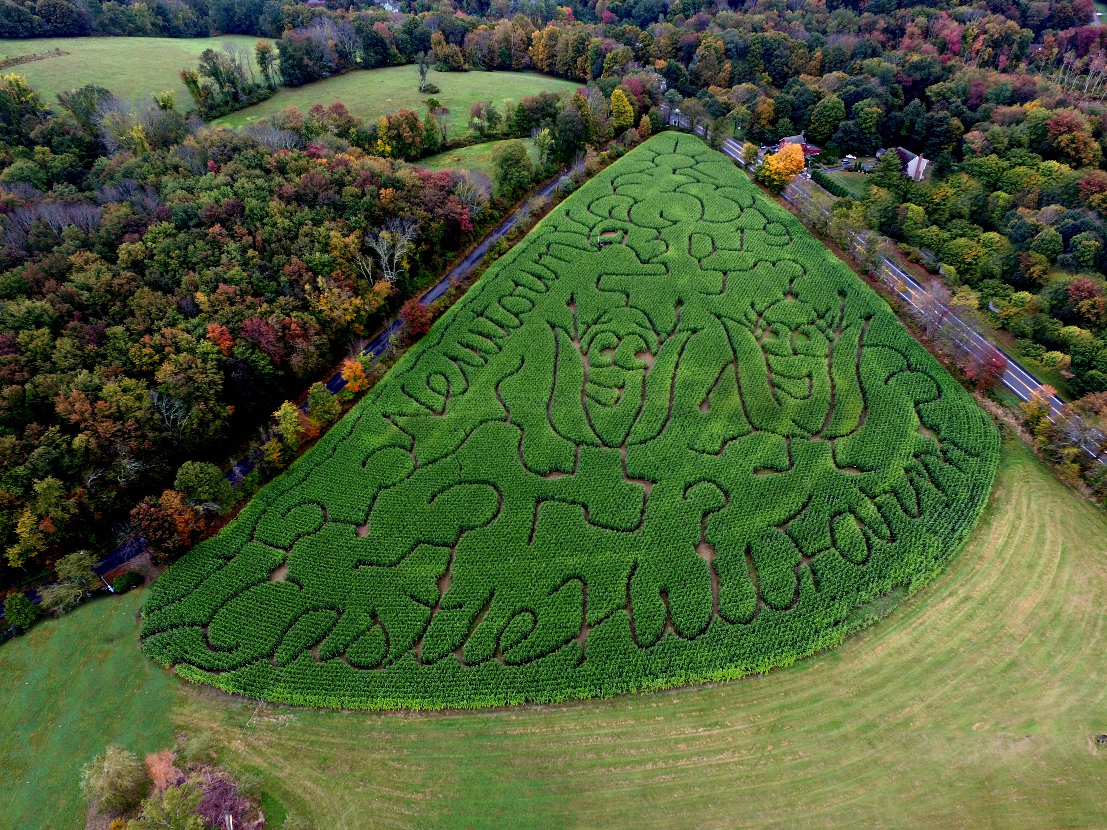 2019 Corny Corn Maze