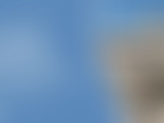 Bancarotta fraudolenta: responsabile il liquidatore che distrugge i libri contabili ricevuti dai predecessori (Cass. Pen. n. 31865/25)