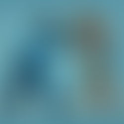 La resistenza a pubblico ufficiale si configura anche quando l’uso della violenza avviene dopo il primo invito a seguire i militari (Cass. Pen. n. 9255/2025)