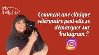 Comment une clinique vétérinaire peut-elle se démarquer sur Instagram ?