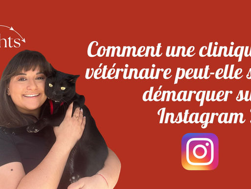 Comment une clinique vétérinaire peut-elle se démarquer sur Instagram ?