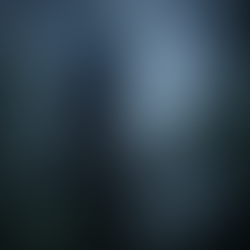 News - La chute du corbeau – bientôt la fin du zine