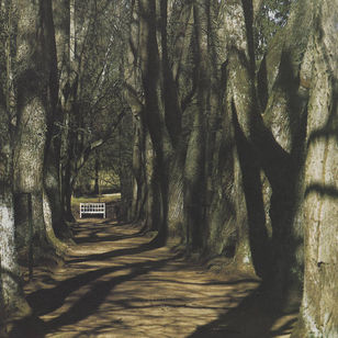 MOTORAMA – Sleep, And I Will Sing