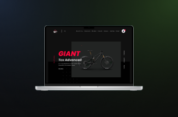 Wordpress _ Custom Theme Development.png