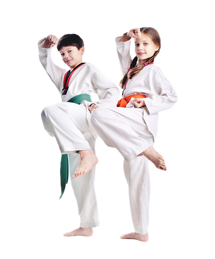 Untitled design (2)_edited.png