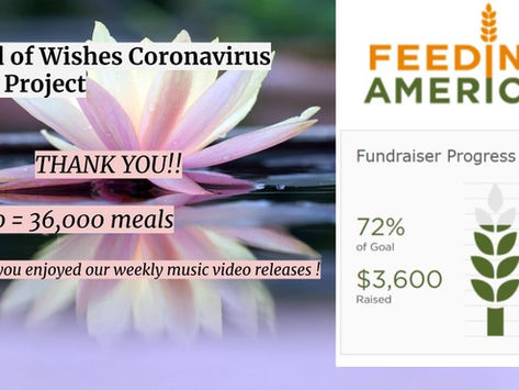 Sound of Wishes Coronavirus Relief Project Concludes