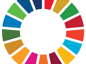 SDGs・ESGリスクの管理・開示の実務