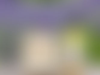 Lavender Lemon Bar Soap and Body Oil