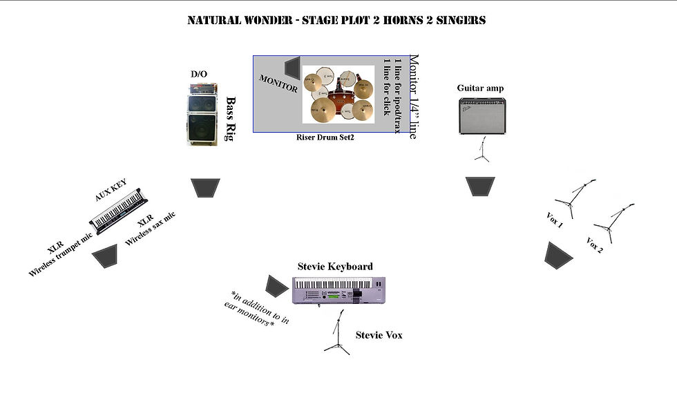 NW Stage Plot 2014 full band 3 2 horn 2 bgv.jpg