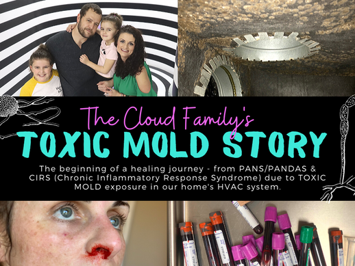 Our Toxic Mold Story