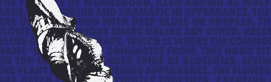 close up wide-03.jpg