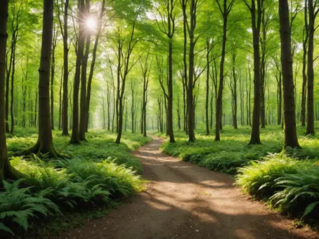 Unlock Your Unlimited Potential: Embracing the Unique Path to Personal Fulfillment and Success