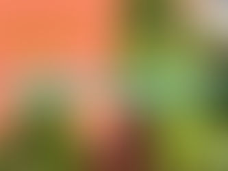 Orange and turqoise text over a salmon colored wall and green leaves reading "People We Meet on Vacation is Emily Henry's Lowest Ranked Novel Here's Why"