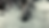 Friend of the Drifting Ligh still 2.png