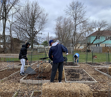 DP day action mulch.jpeg