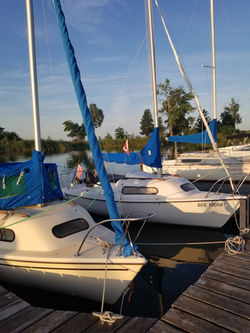 2019-08-11 06.56.32