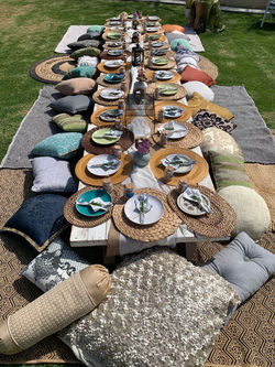 Picnic dressings