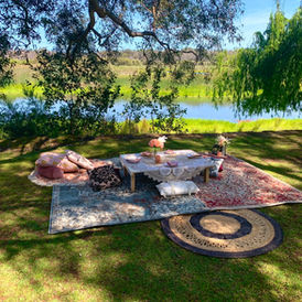 Small Family Picnic at Yanchep National Park