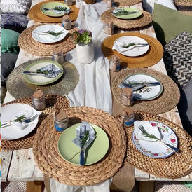 Back yard picnic