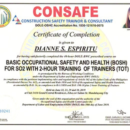 CONSAFE_BOSH.jpg