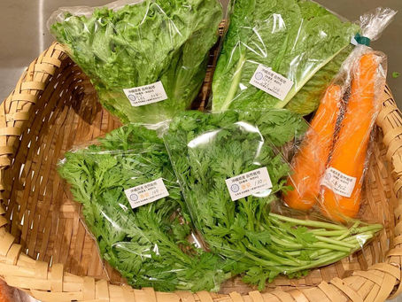 八重瀬町・島袋農園さんより新鮮野菜が届きました〜