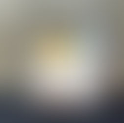 【日本豊受の無添加梅干し！ 】