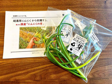 希少な国産【超濃厚にんにくの芽】が届きました😆👏
