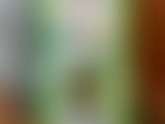 抹茶黄豆粉糖果!