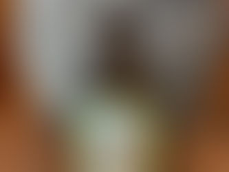 【ドライシードル!】