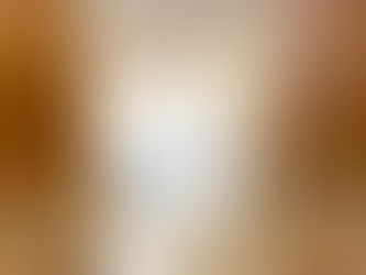 SALAD TO GO 格兰诺拉 人参香味!