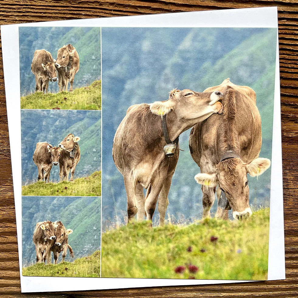 Karte mit Couvert