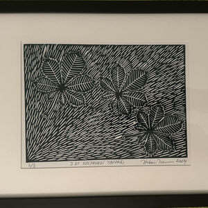 3 AT KESTANESİ YAPRAĞI 20240919-003    