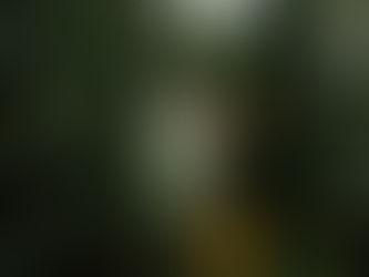 10) Peru Kahvesinin Özellikleri