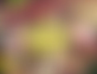 Training Kids segunda edición