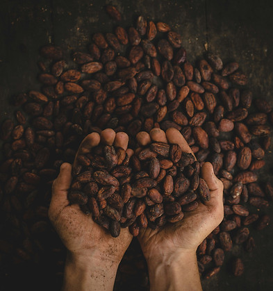 pablo-merchan-montes-SCbq6uKCyMY-unsplash.jpg