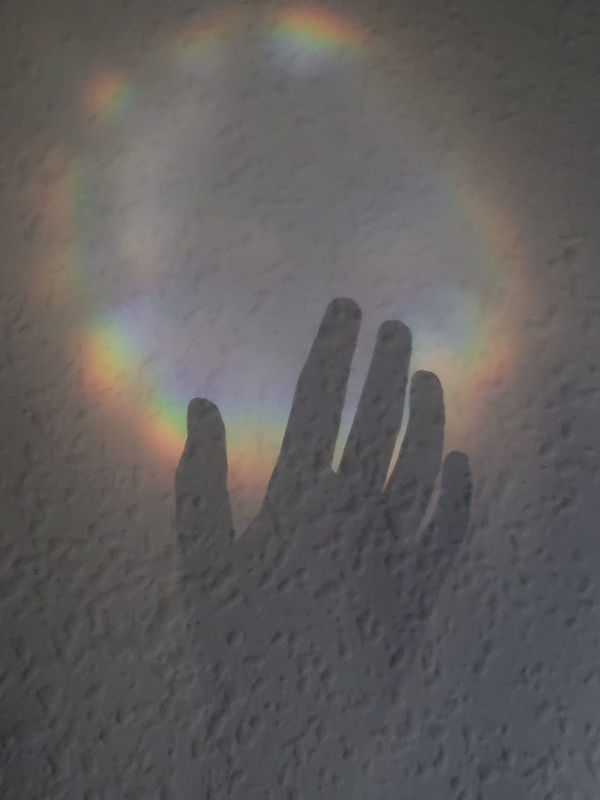 WhatsApp Image 2022-03-18 at 7.37.50 AM.jpeg